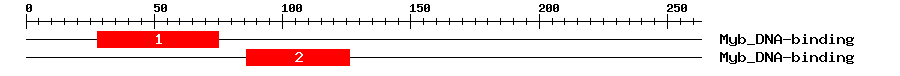 Signature Domain