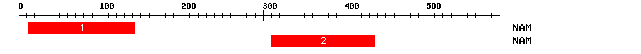 Signature Domain