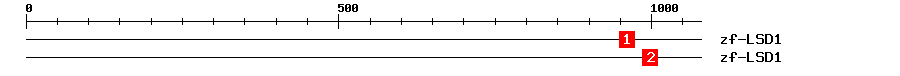 Signature Domain