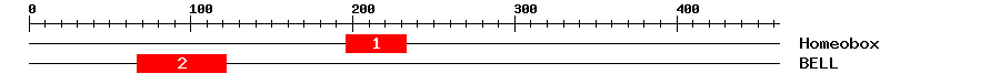 Signature Domain
