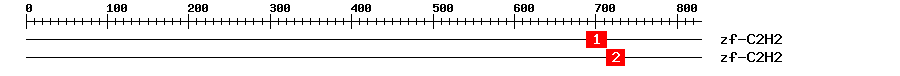 Signature Domain