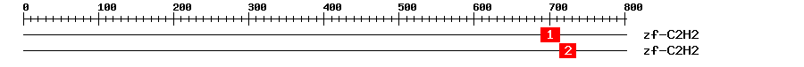 Signature Domain