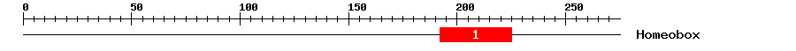 Signature Domain