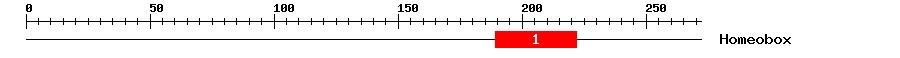 Signature Domain