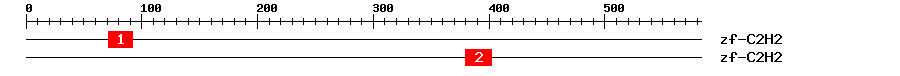 Signature Domain