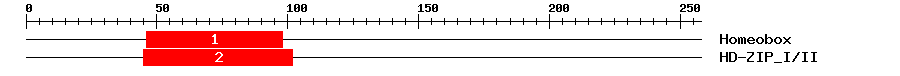 Signature Domain