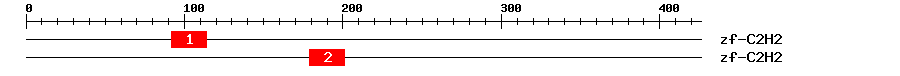 Signature Domain