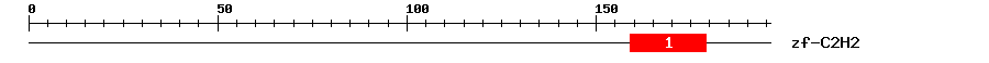Signature Domain
