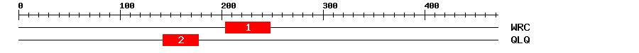 Signature Domain