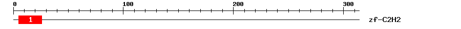 Signature Domain
