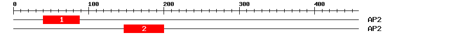 Signature Domain