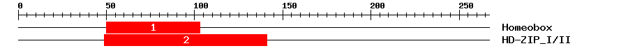 Signature Domain