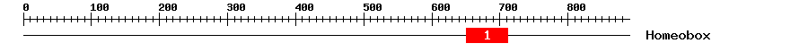 Signature Domain