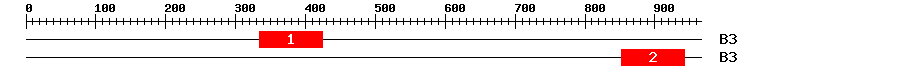 Signature Domain