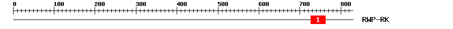 Signature Domain
