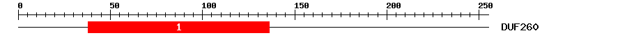 Signature Domain