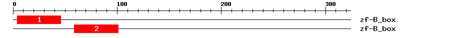 Signature Domain