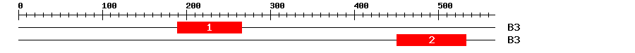 Signature Domain