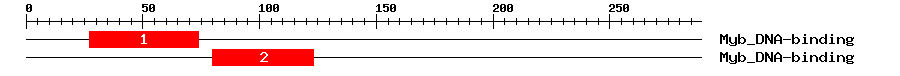 Signature Domain