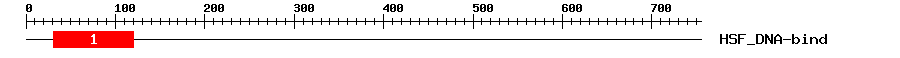 Signature Domain