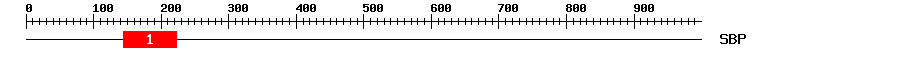 Signature Domain