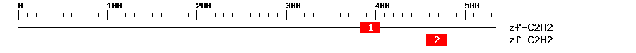 Signature Domain