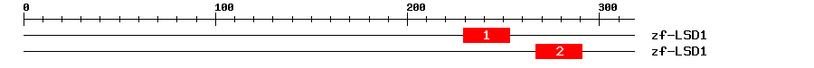 Signature Domain