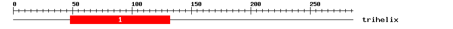 Signature Domain