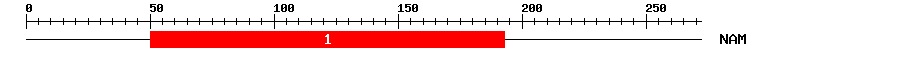Signature Domain