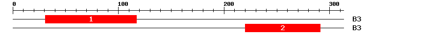 Signature Domain