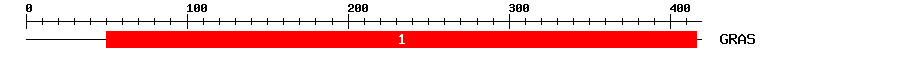 Signature Domain