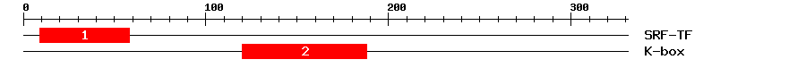 Signature Domain