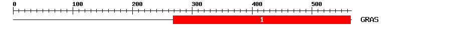 Signature Domain