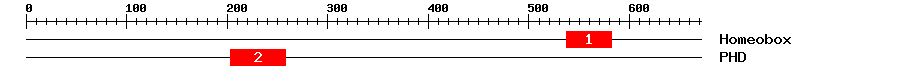 Signature Domain