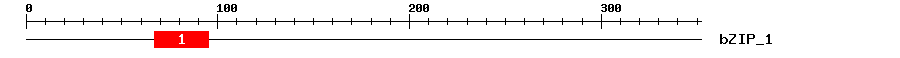Signature Domain