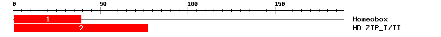 Signature Domain