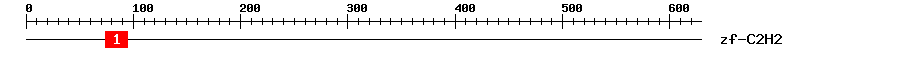 Signature Domain