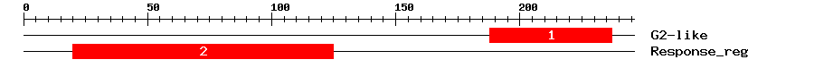 Signature Domain