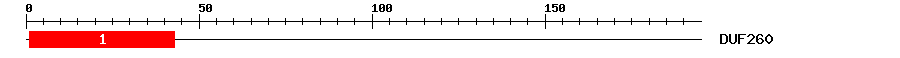 Signature Domain