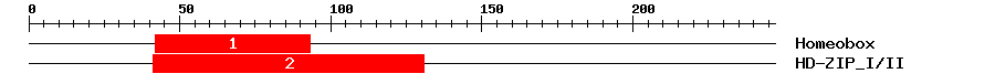 Signature Domain
