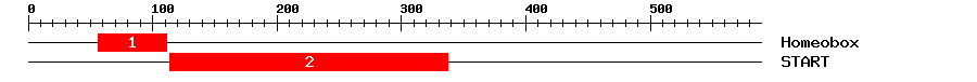 Signature Domain
