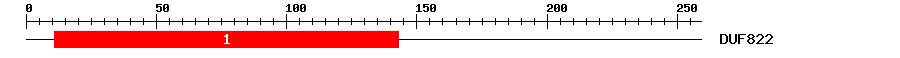 Signature Domain