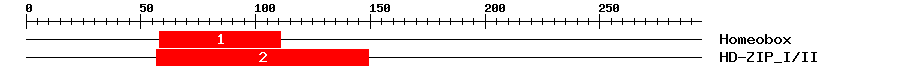 Signature Domain