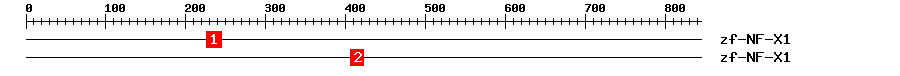 Signature Domain