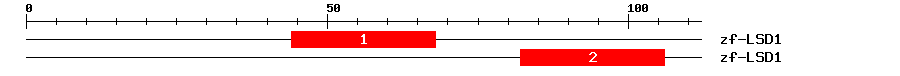 Signature Domain