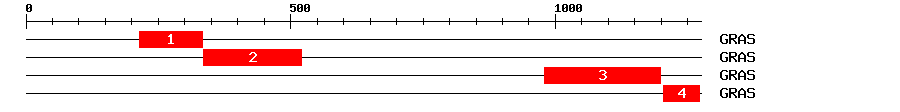 Signature Domain