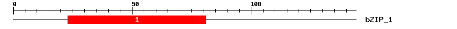 Signature Domain