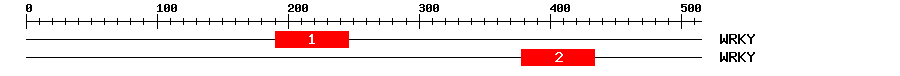 Signature Domain