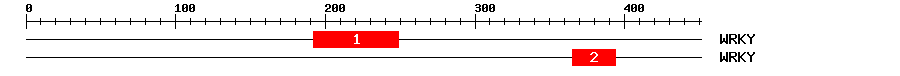Signature Domain
