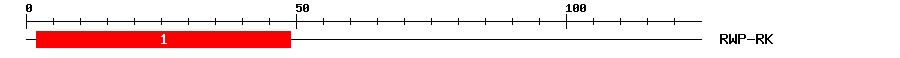 Signature Domain
